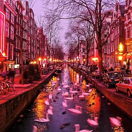 Red Light 3* Amsterdam